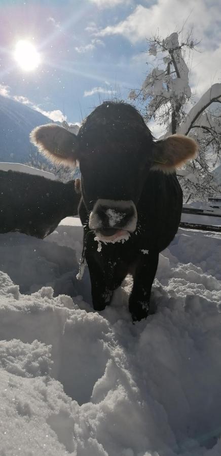 Bauernhof Gfraser Serfaus Esterno foto