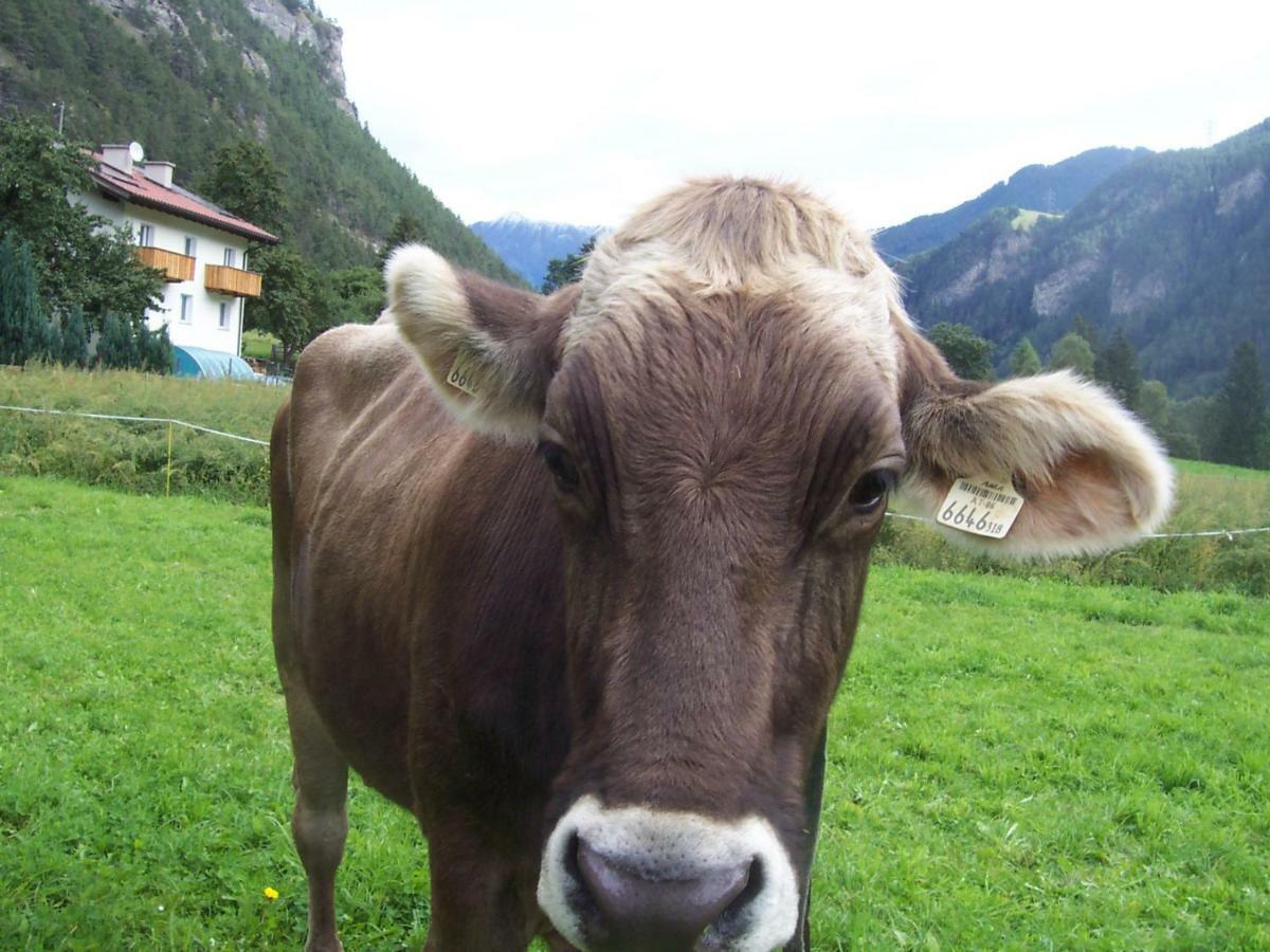 Bauernhof Gfraser Serfaus Esterno foto